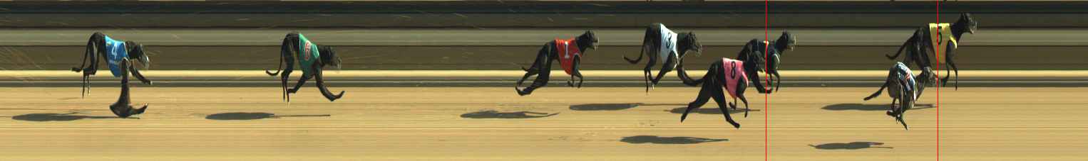 Photo finish for Warragul Race 8