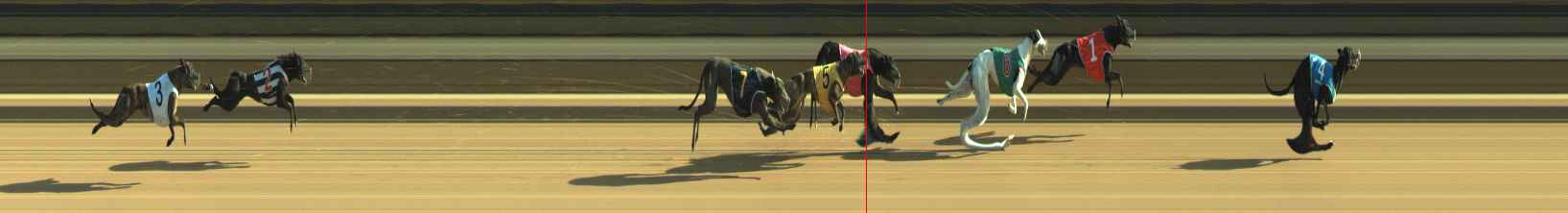 Photo finish for Warragul Race 9
