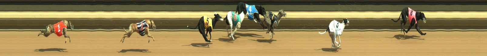 Photo finish for Warragul Race 1