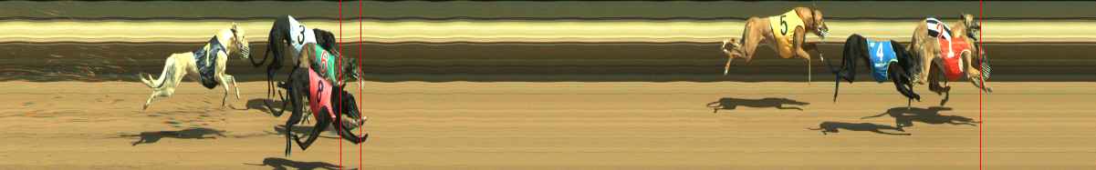 Photo finish for Warragul Race 2