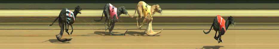 Photo finish for Warragul Race 3
