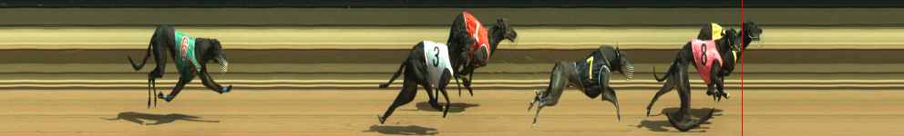 Photo finish for Warragul Race 4