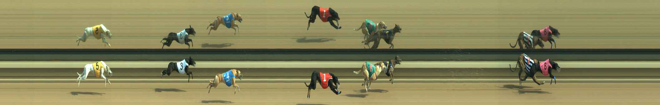 Photo finish for Warragul Race 5