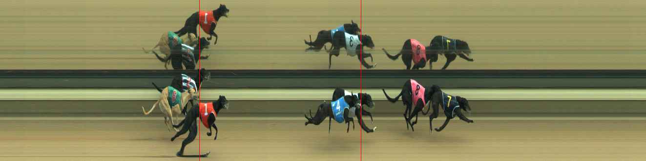 Photo finish for Warragul Race 6