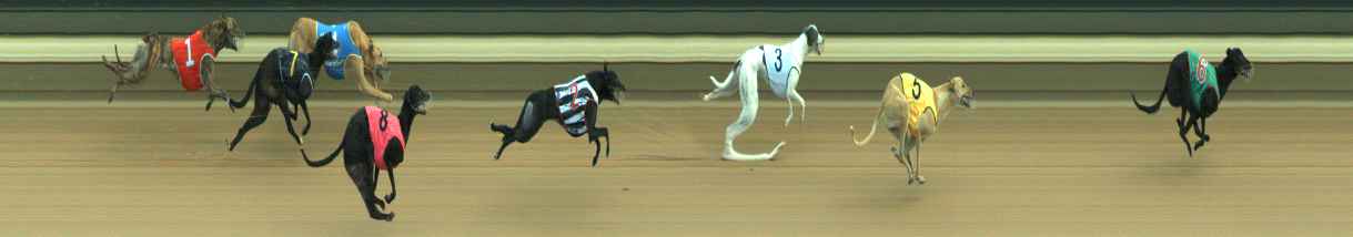 Photo finish for Warragul Race 7