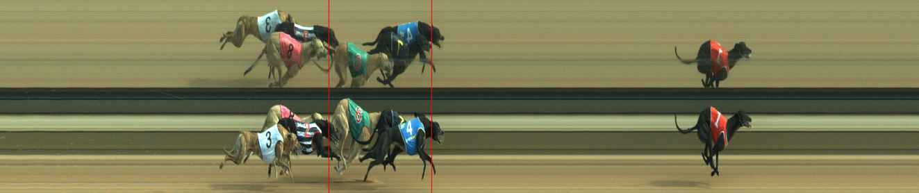 Photo finish for Warragul Race 8