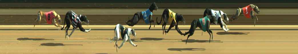 Photo finish for Warragul Race 9