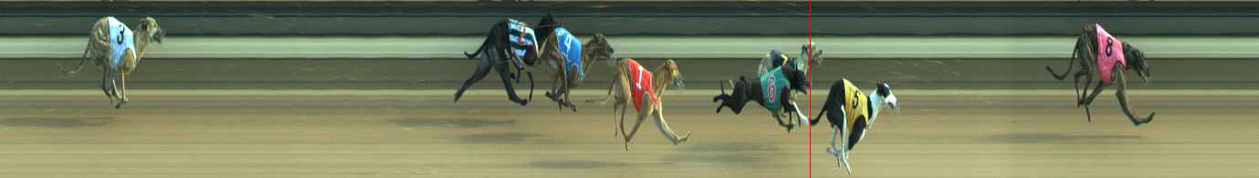 Photo finish for Warragul Race 10