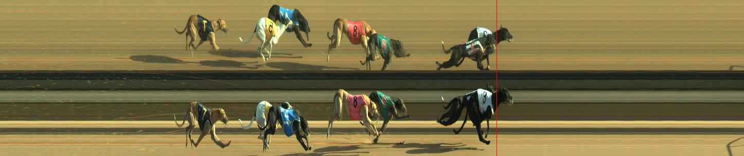 Photo finish for Warragul Race 11