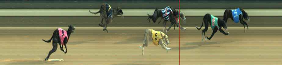 Photo finish for Warragul Race 12