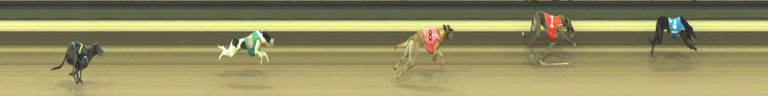 Photo finish for Warragul Race 1