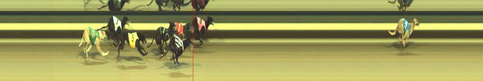 Photo finish for Warragul Race 5