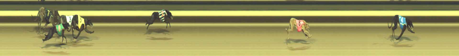 Photo finish for Warragul Race 6