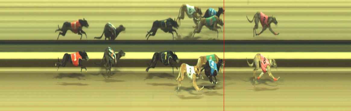 Photo finish for Warragul Race 7