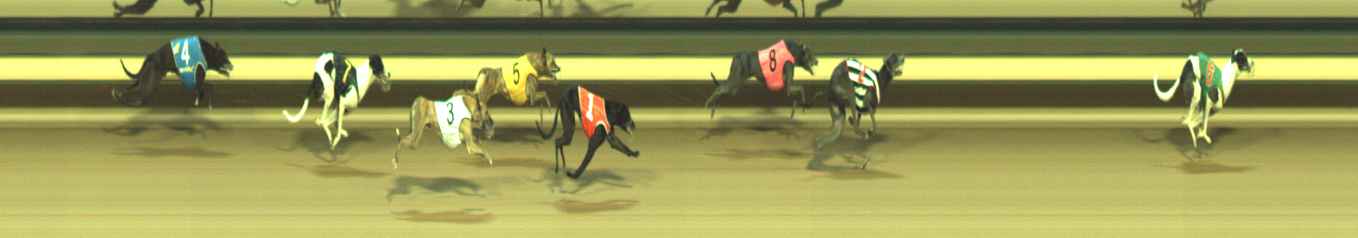 Photo finish for Warragul Race 9