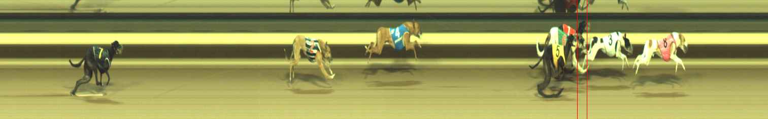 Photo finish for Warragul Race 10