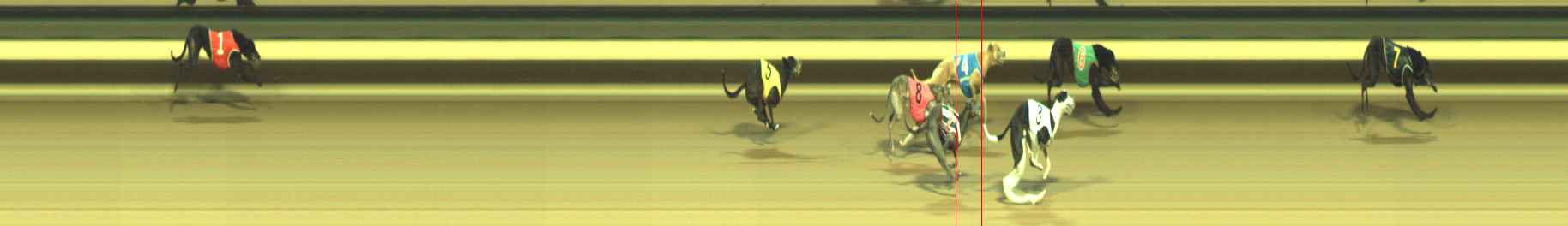 Photo finish for Warragul Race 11