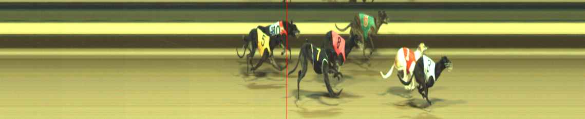 Photo finish for Warragul Race 12
