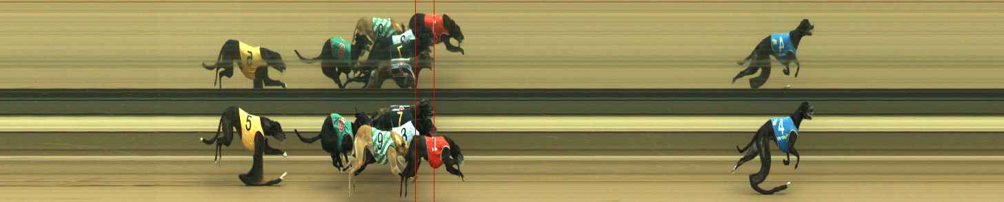Photo finish for Warragul Race 2