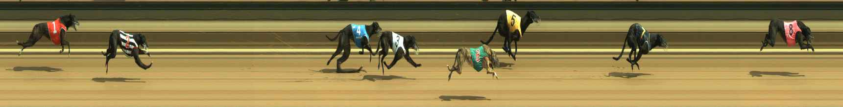 Photo finish for Warragul Race 4