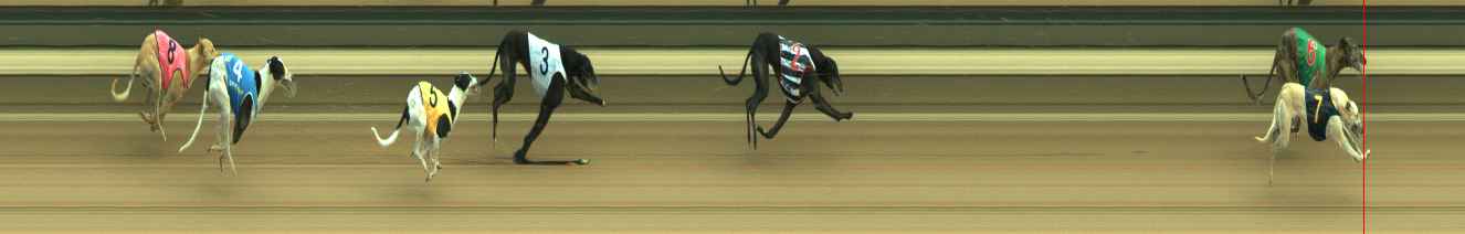 Photo finish for Warragul Race 5