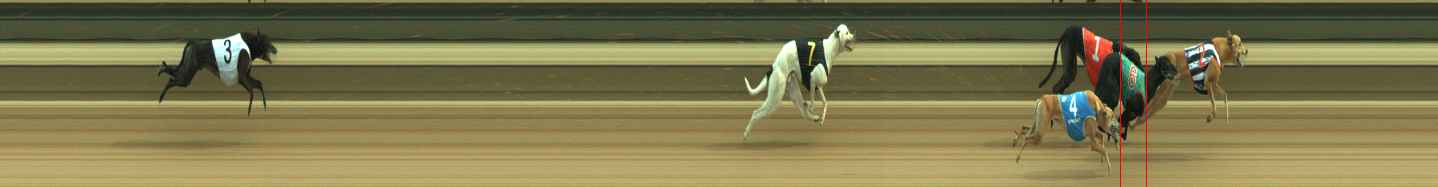 Photo finish for Warragul Race 8