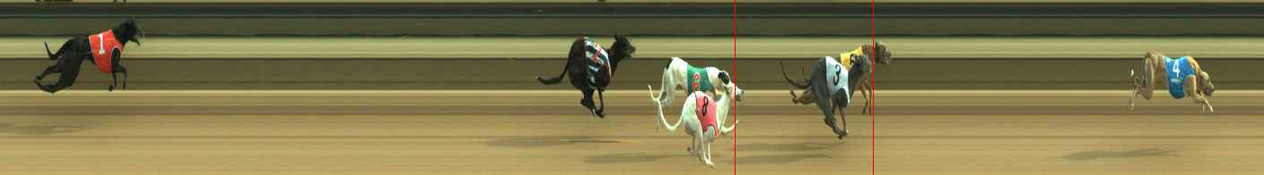 Photo finish for Warragul Race 10