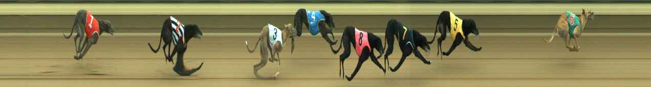 Photo finish for Warragul Race 11