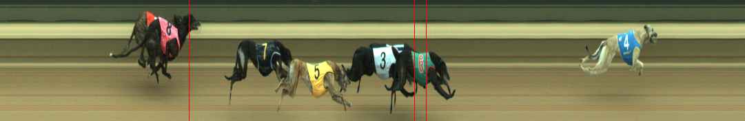 Photo finish for Warragul Race 12