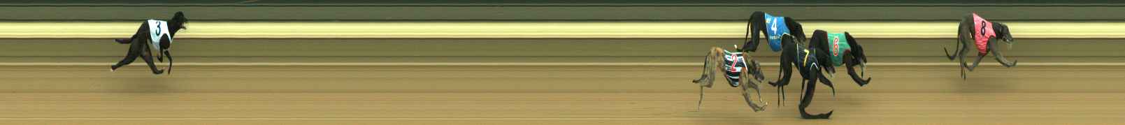 Photo finish for Warragul Race 1
