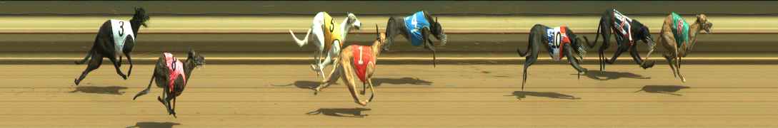 Photo finish for Warragul Race 3