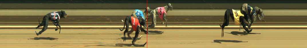 Photo finish for Warragul Race 5