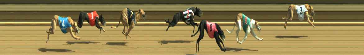 Photo finish for Warragul Race 6