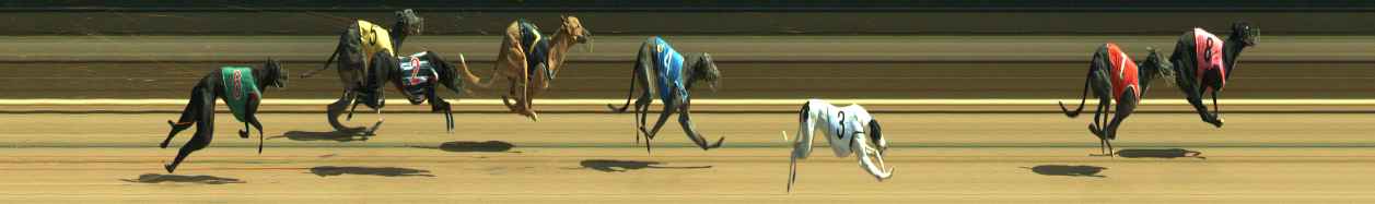 Photo finish for Warragul Race 7