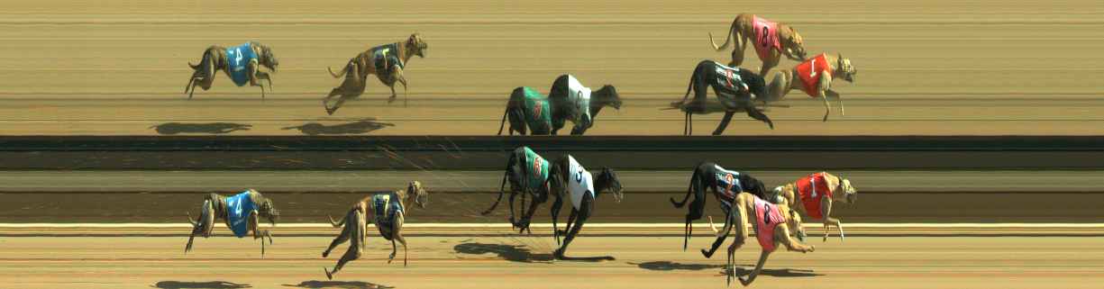 Photo finish for Warragul Race 8