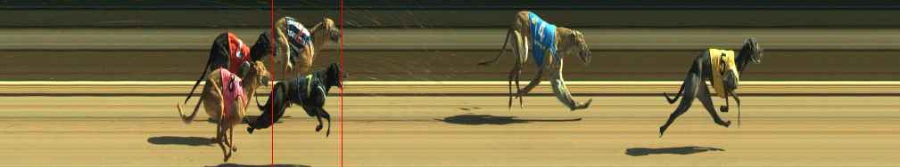 Photo finish for Warragul Race 9
