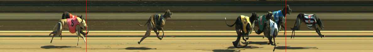 Photo finish for Warragul Race 10