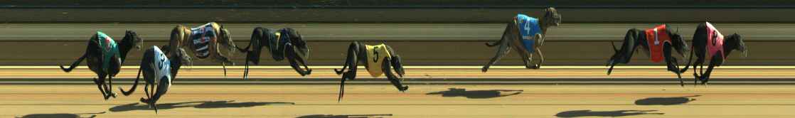 Photo finish for Warragul Race 11