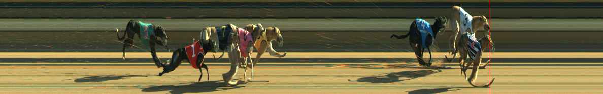 Photo finish for Warragul Race 12