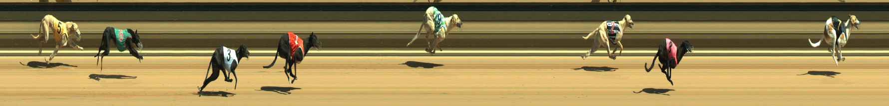 Photo finish for Warragul Race 1