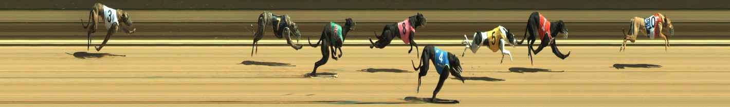 Photo finish for Warragul Race 2