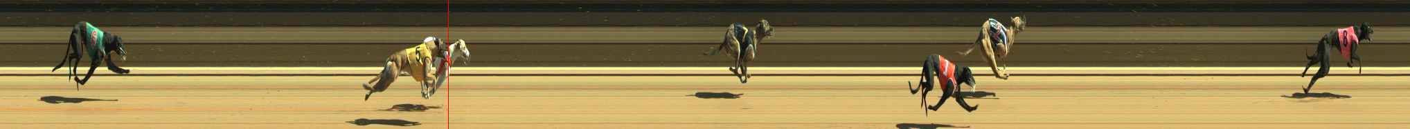 Photo finish for Warragul Race 3