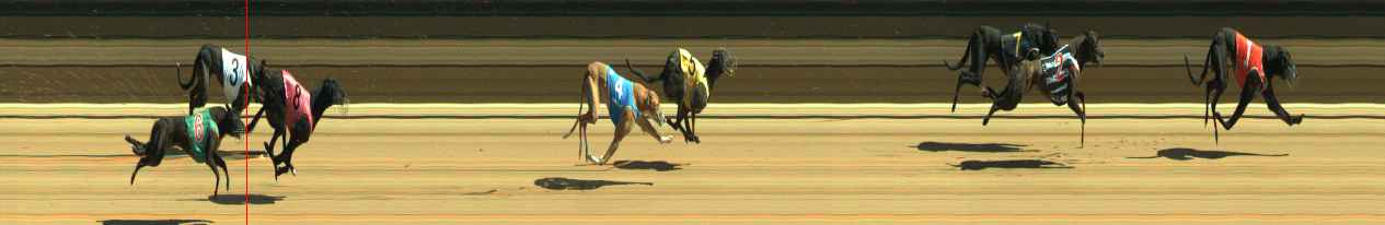 Photo finish for Warragul Race 4