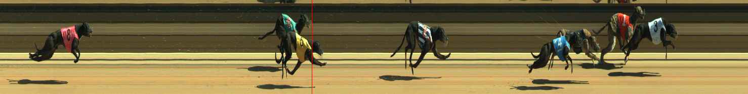 Photo finish for Warragul Race 5
