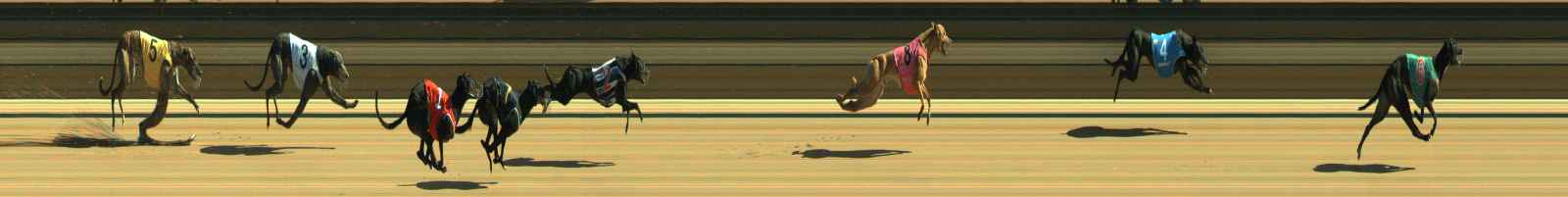 Photo finish for Warragul Race 6