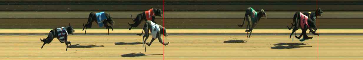 Photo finish for Warragul Race 7