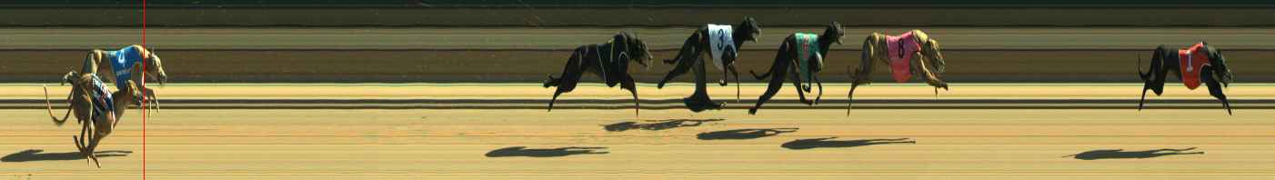 Photo finish for Warragul Race 8