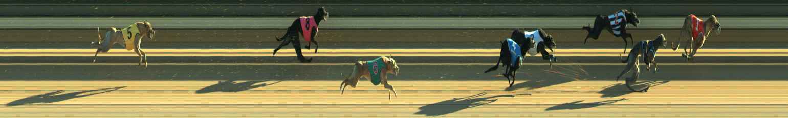 Photo finish for Warragul Race 11