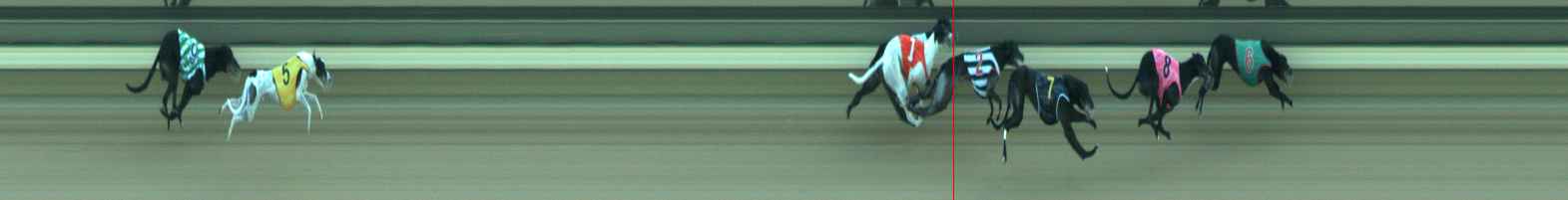 Photo finish for Warragul Race 12
