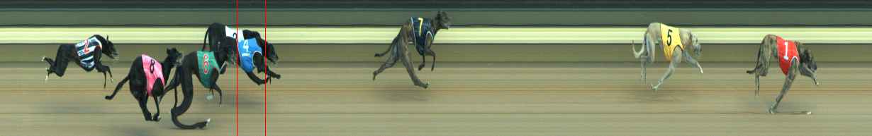 Photo finish for Warragul Race 1